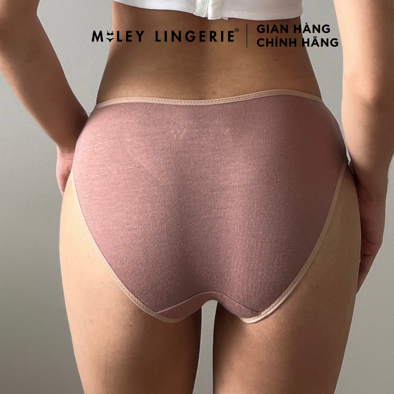 Combo 3 Quần Lót Cotton Lụa Plus Size Miley Lingerie Nature Wind FCP_11