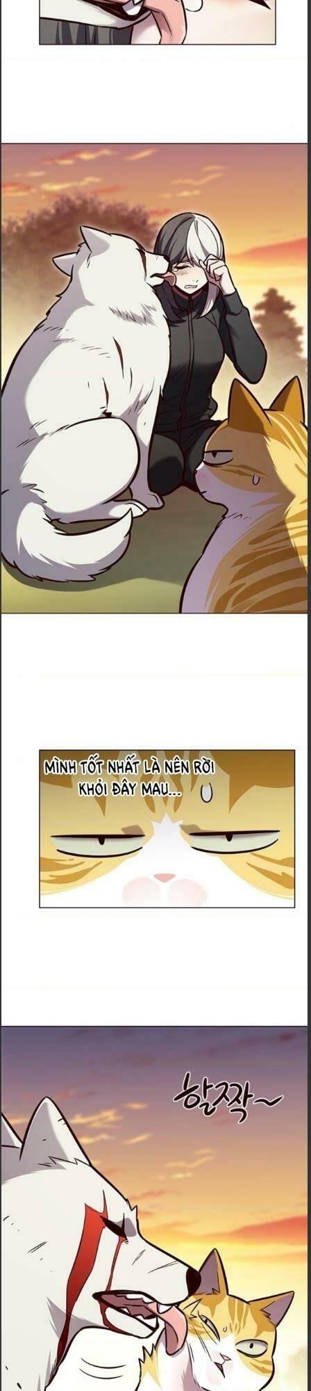 biến thân thành mèo chapter 162 3