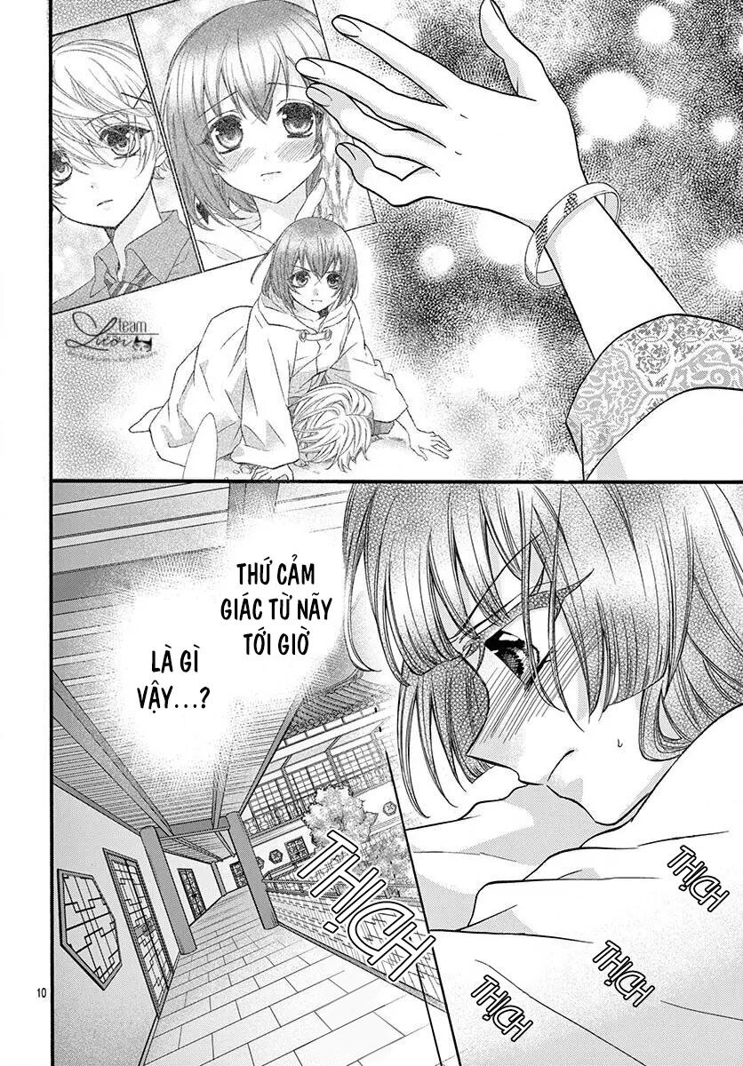 chàng rể giả nhân giả nghĩa chapter 11 10