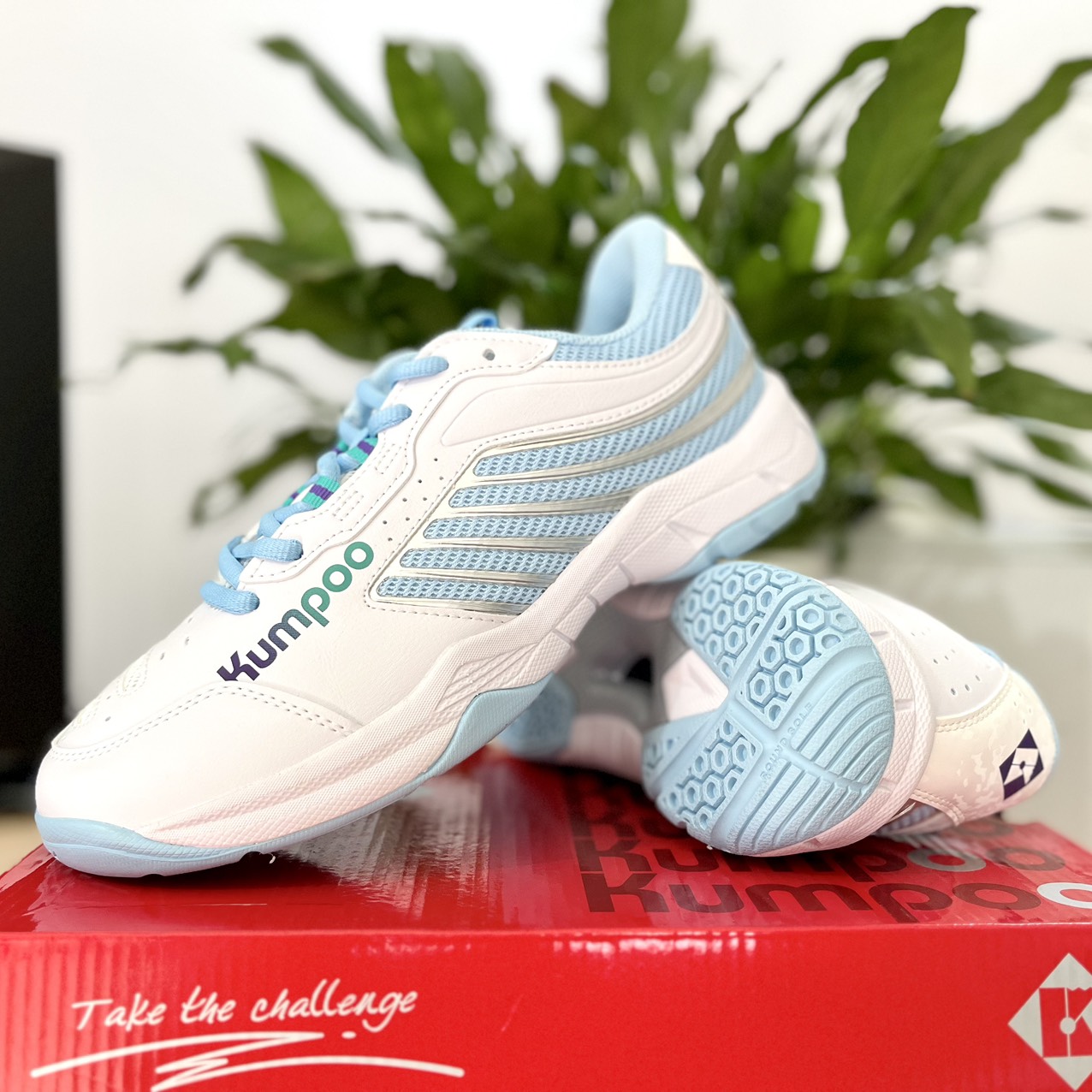 Giày cầu lông, bóng chuyền, Pickleball Nam/nữ Kawasaki K2234,  Kumpoo E301 cao cấp