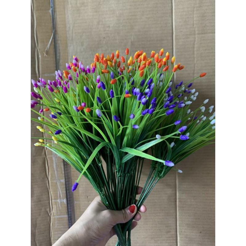 Cụm điểm sao 5 nhánh