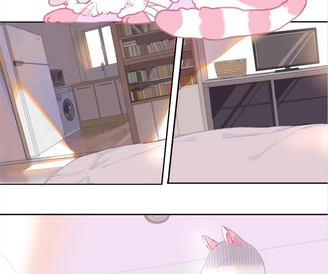 social cat chapter 1 17