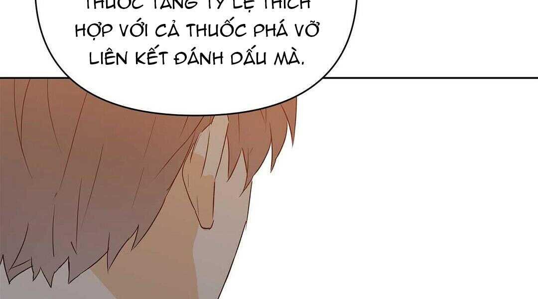 guide cấp b chapter 37 71