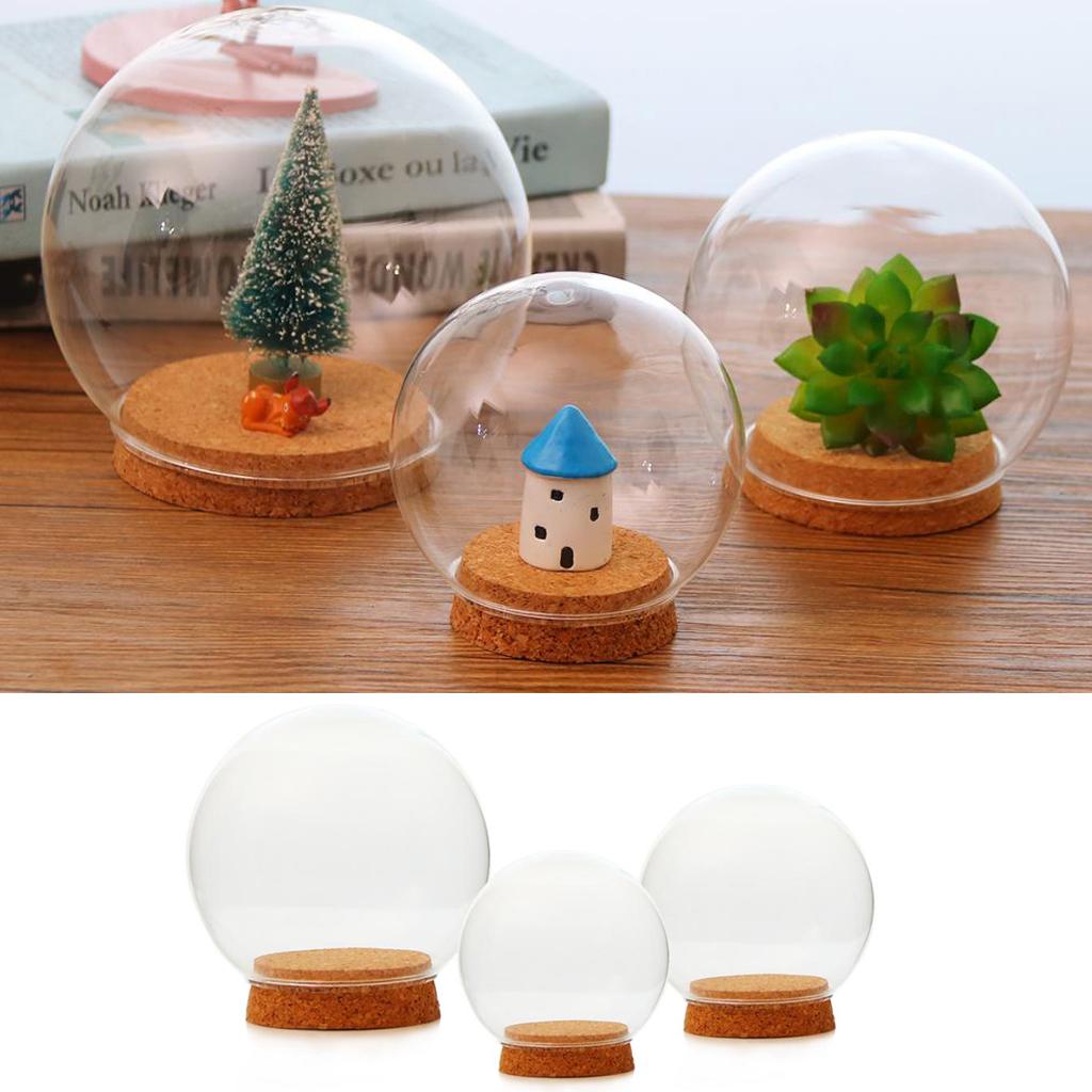 3xGlass Ball Shaped Cover Landscape Terrarium Container Lid Vase Bottle 12cm