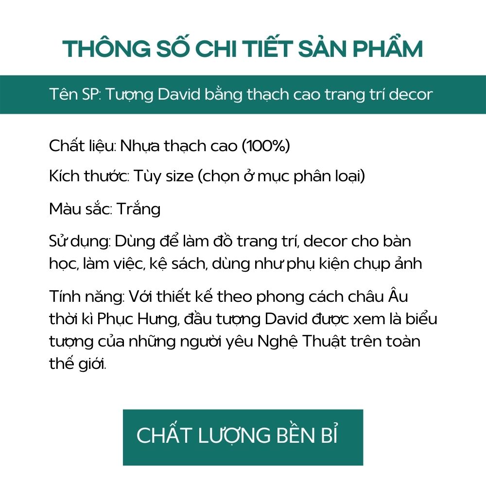 Mô hình đầu tượng David, tượng đầu người bằng nhựa thạch cao trắng dùng trang trí decor, tập vẽ kí họa,DIY