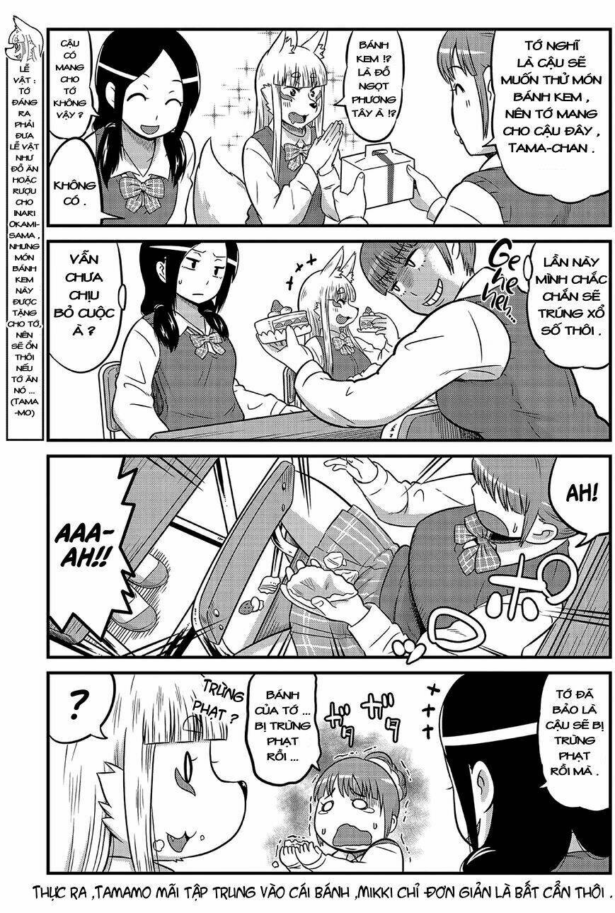 high school inari tamamo-chan ! chapter 5 8