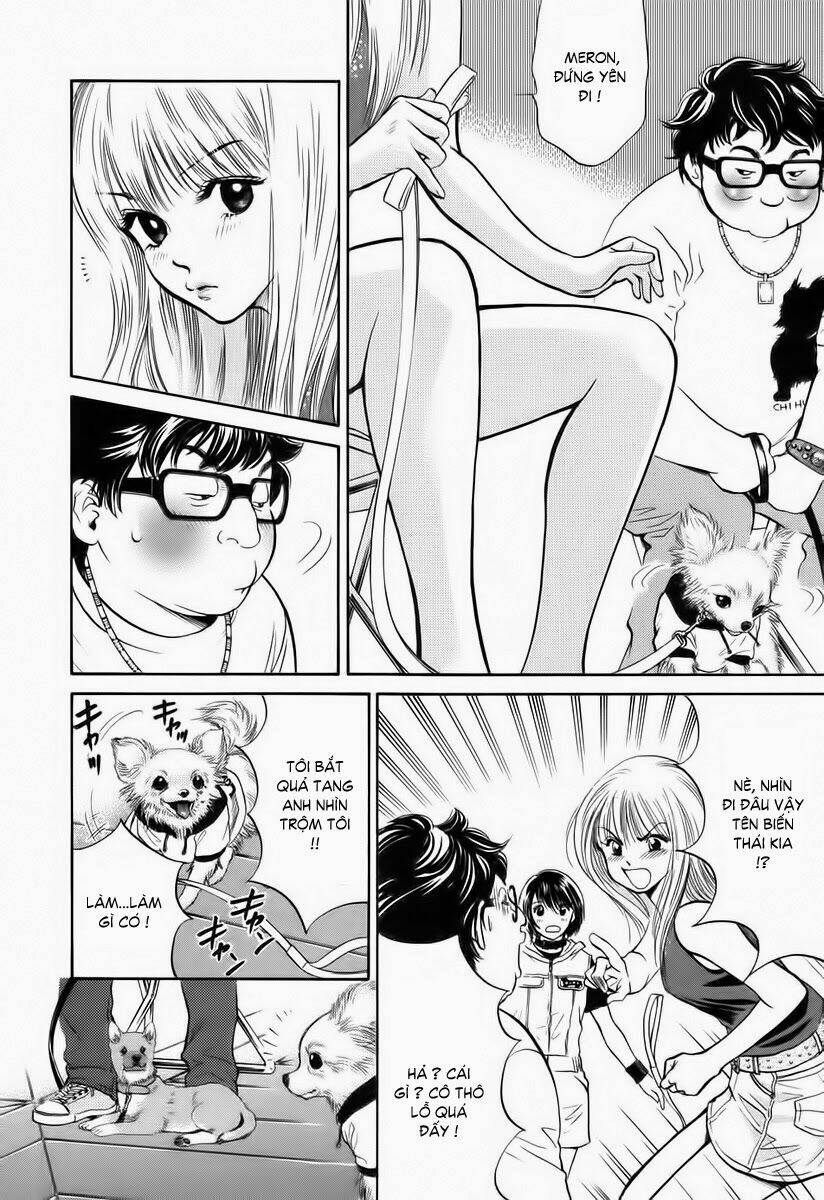 cô nàng yêu chó chapter 35 16