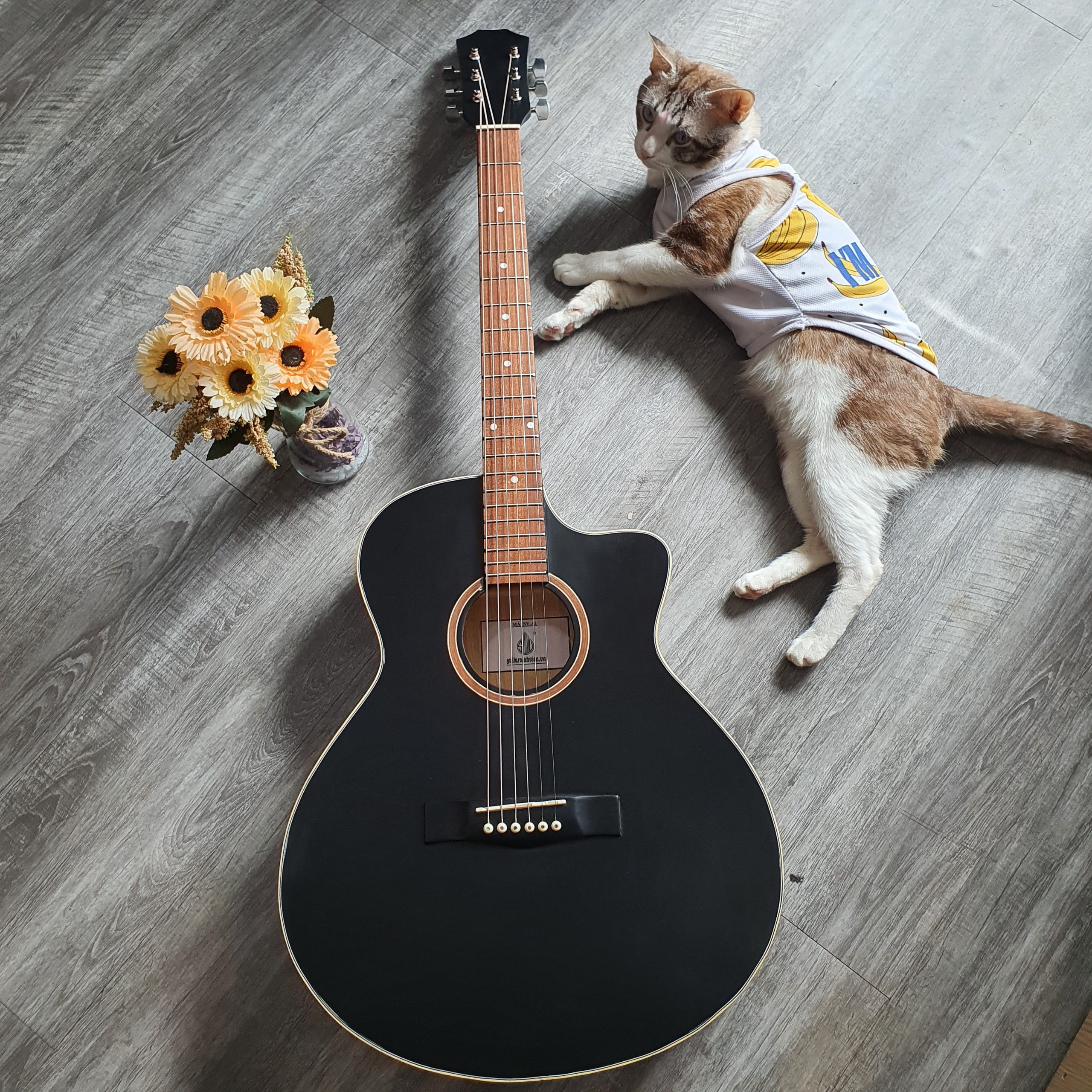 Đàn guitar acoustic có ty màu đen - Mặt gỗ thông nguyên tấm guitar SVA1