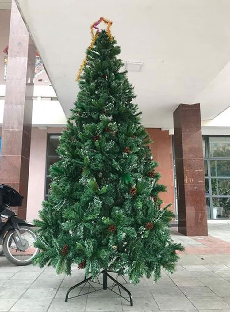 Cây thông noel 3 loại lá gắn trái thông - Cây thông đẹp Tán dày đều, cây thông chắc chắn và dể tháo lắp