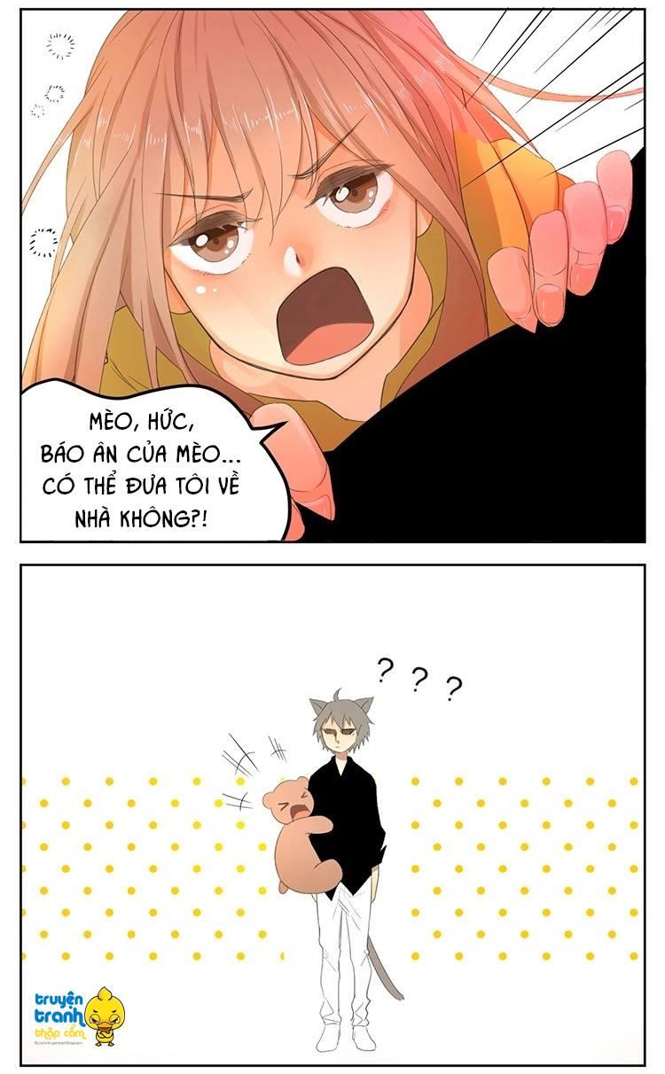 cứu mạng ! loài mèo thống trị thế giới rồi ! chapter 23 9