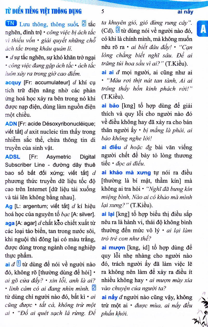 Từ Điển Tiếng Việt Thông Dụng