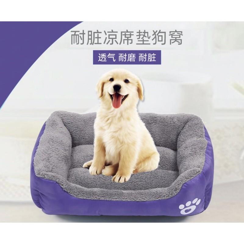 Đệm bông ấm áp cho cún miu
