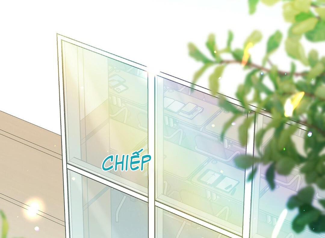 phức cảm tự ti của omega chapter 14 4