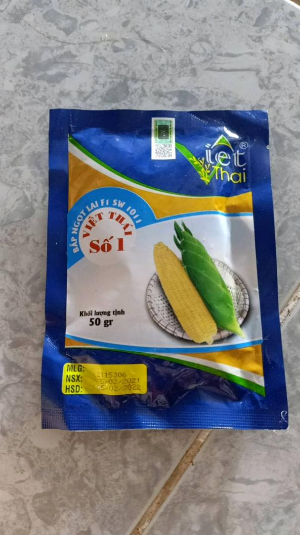 Hạt Giống Ngô Ngọt Việt Thái SW1011 - Ngô Siêu Năng Suất