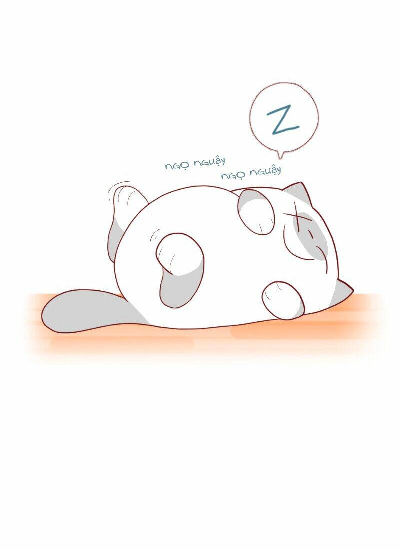 saphie: chú mèo một mắt chapter 4 9