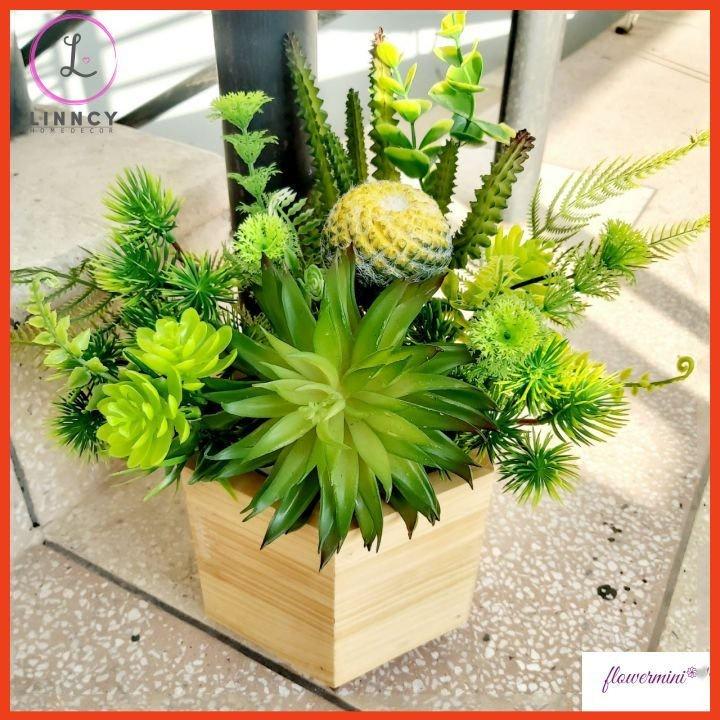 Chậu Cây Xương Rồng Sen Đá Giả Trang Trí Nhà Cửa Kệ Tủ Giá Sách Xanh Mát Tự Nhiên