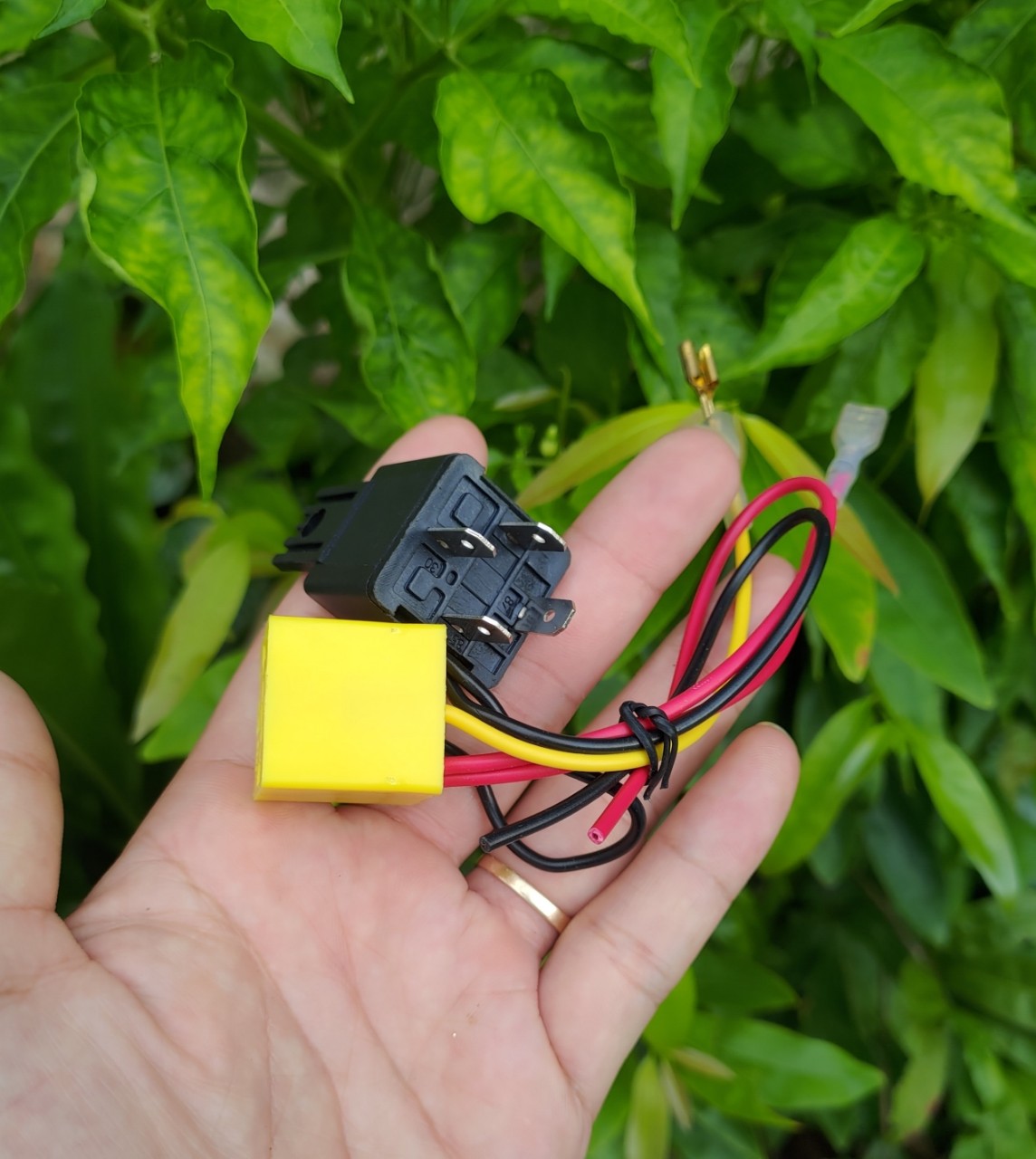 Rơ le còi hơi - ro le trung gian 12v - 30A cos đồng siêu bền rơ le 4 chân cos cắm còi