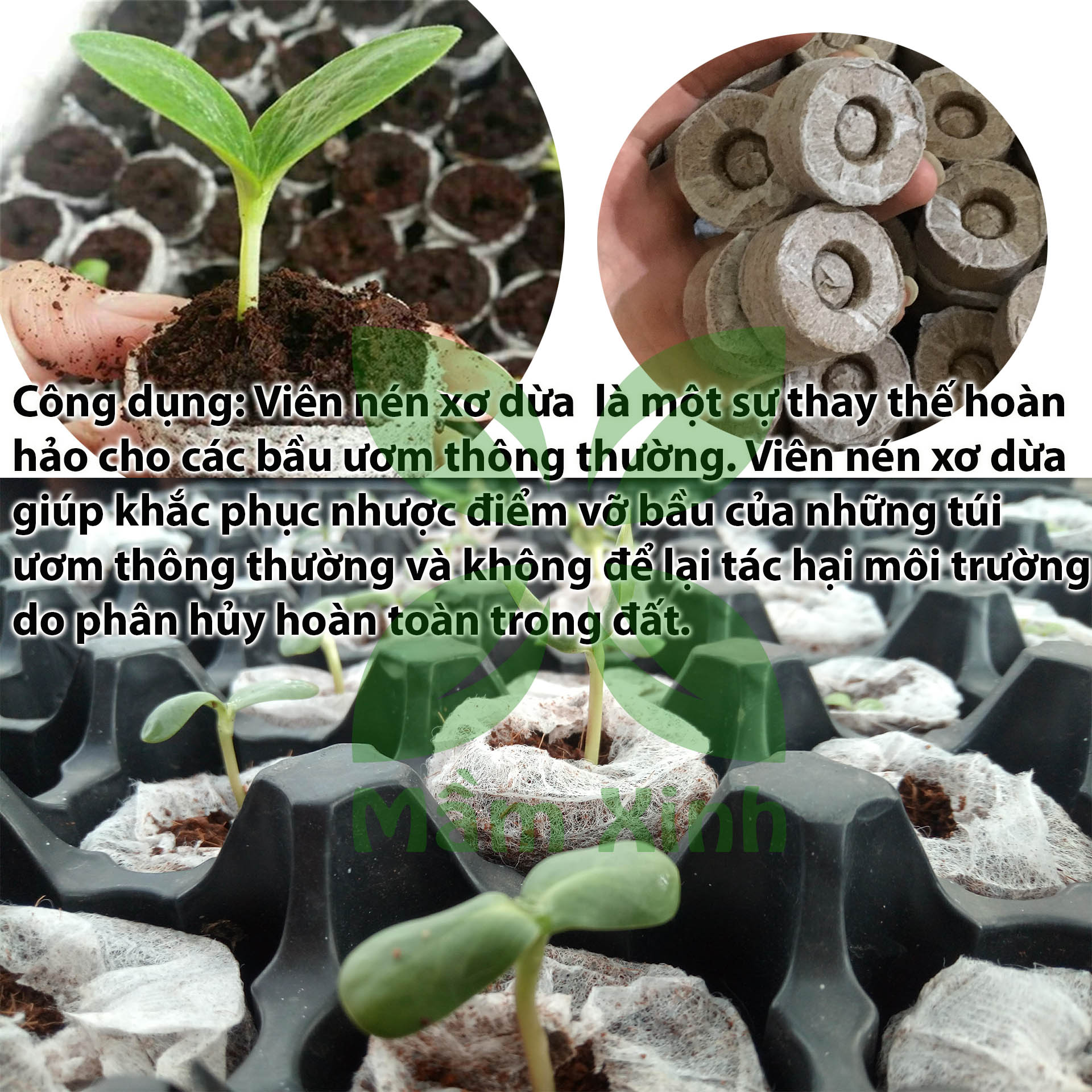 100 Viên Nén Nảy Mầm/ Viên Nén Xơ Dừa