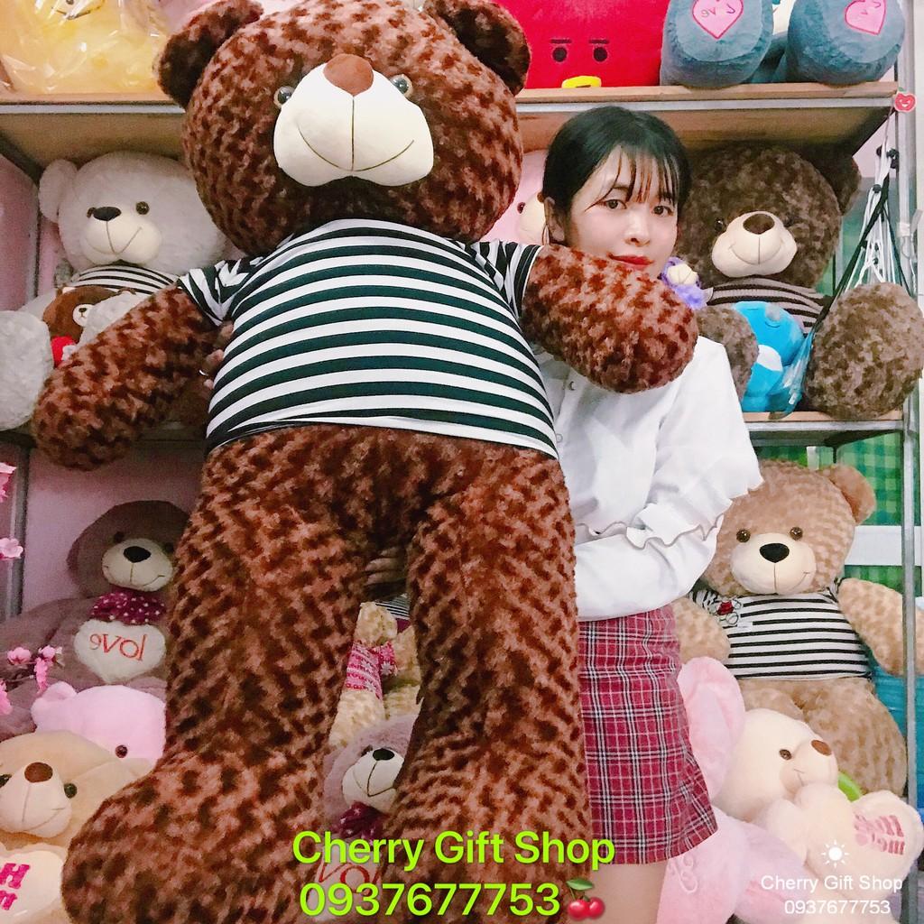 Gấu Bông Teddy Cao Cấp Giá Sốc 1m5 Ảnh Shop Chụp