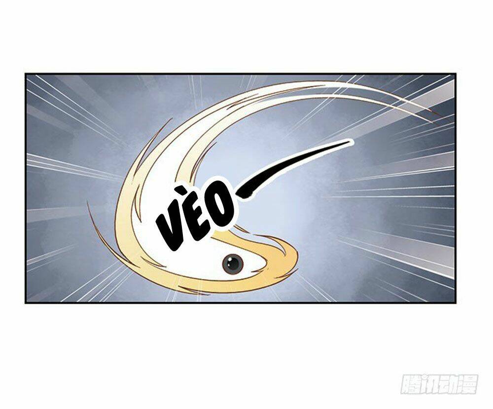 thiền tâm vấn đạo chapter 24 7