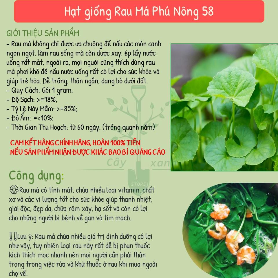 Hạt Giống Rau Má Chất Lượng Cao 1Gr