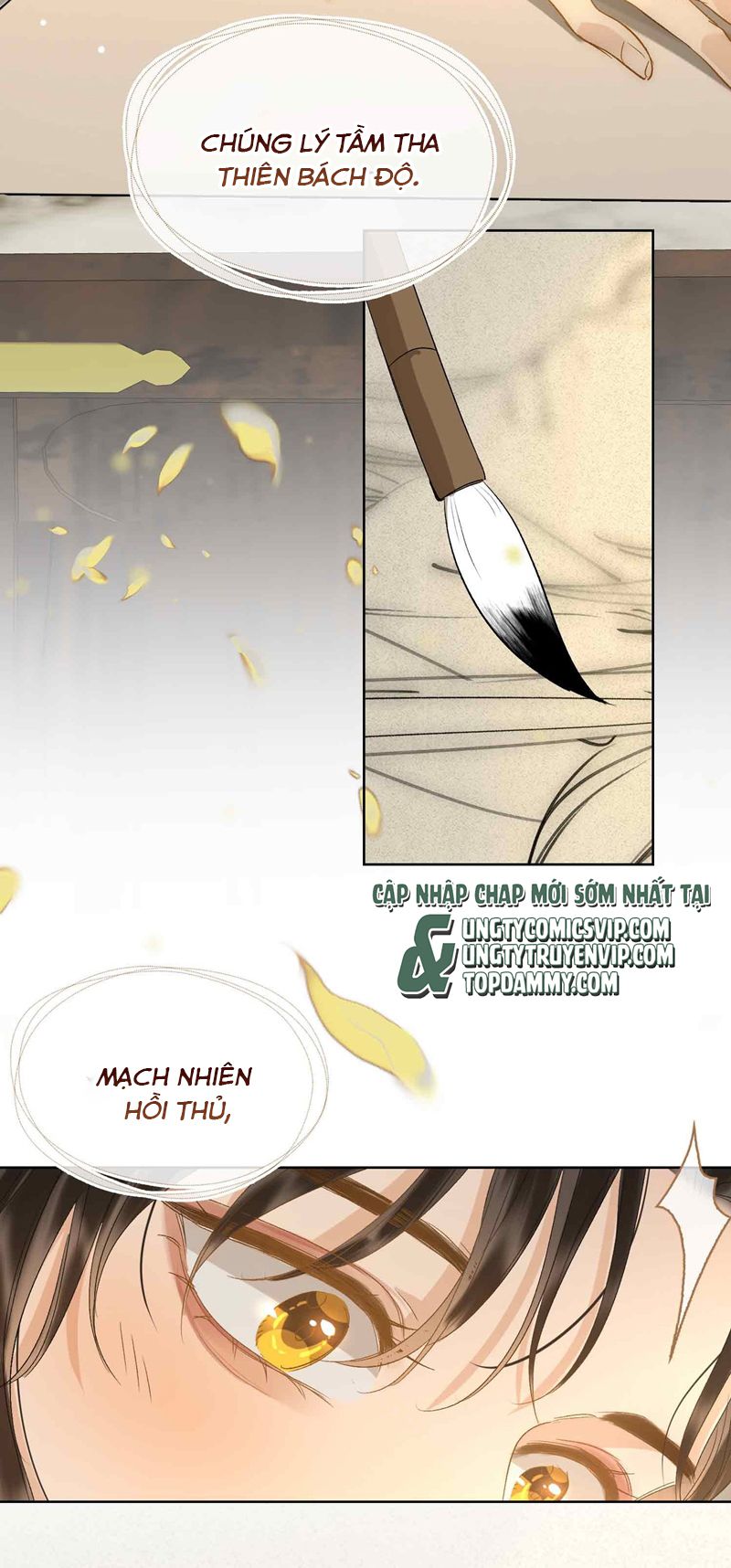 tham hoan chapter 16 26