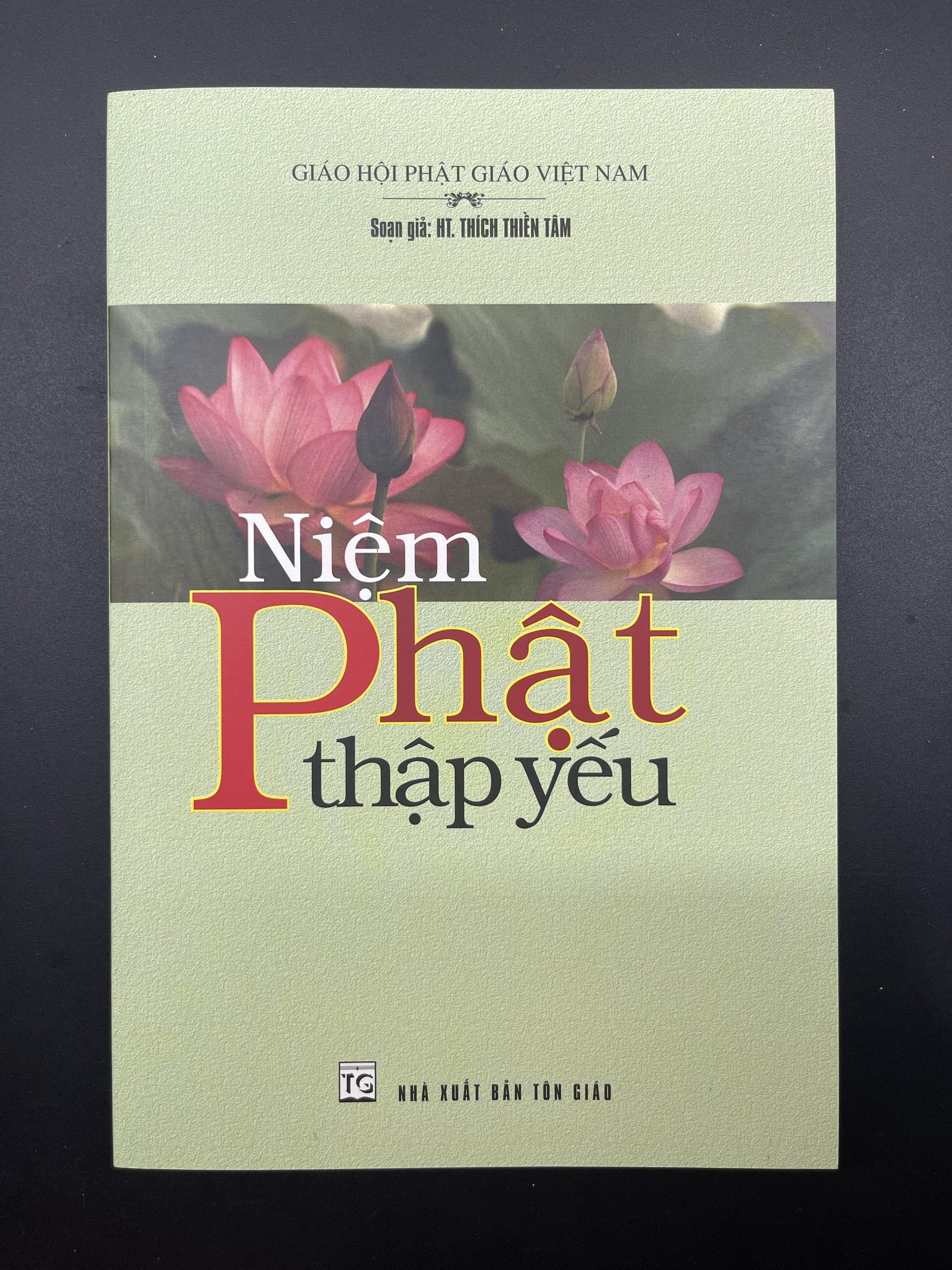 NIỆM PHẬT THẬP YẾU - HT Thích Thiền Tâm