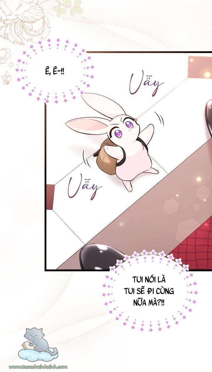 quan hệ cộng sinh giữa báo đen và thỏ trắng chapter 59 23