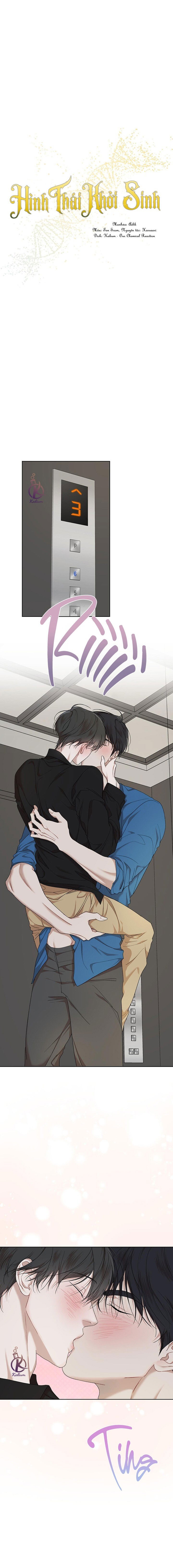 hình thái khởi sinh chapter 84 3