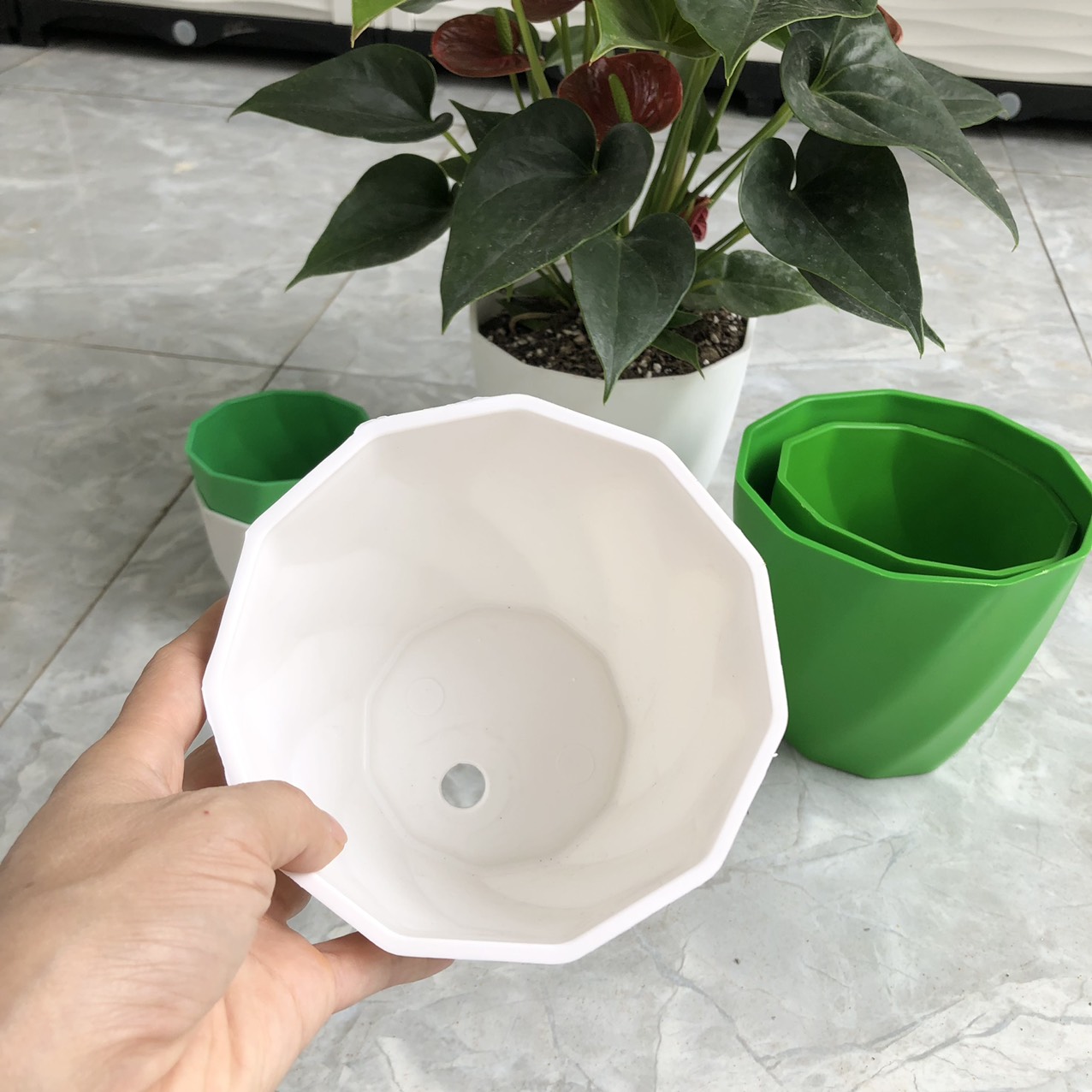 Chậu nhựa trắng cao cấp - Chậu loại dày - Chậu xoắn mini trồng cây trang trí