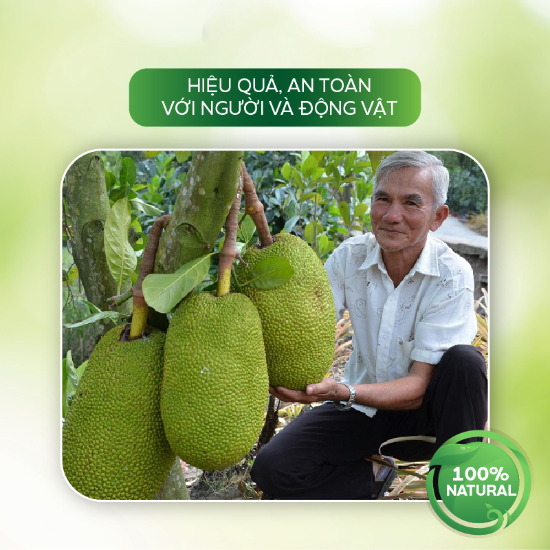 Chế Phẩm Đặc Trị Bệnh Xì Mủ, Thối Rễ, Thán Thư, Sương Mai, Nấm Hồng, Rụng Hoa Trên Cây Trồng - AT Vaccino Tím 500ml