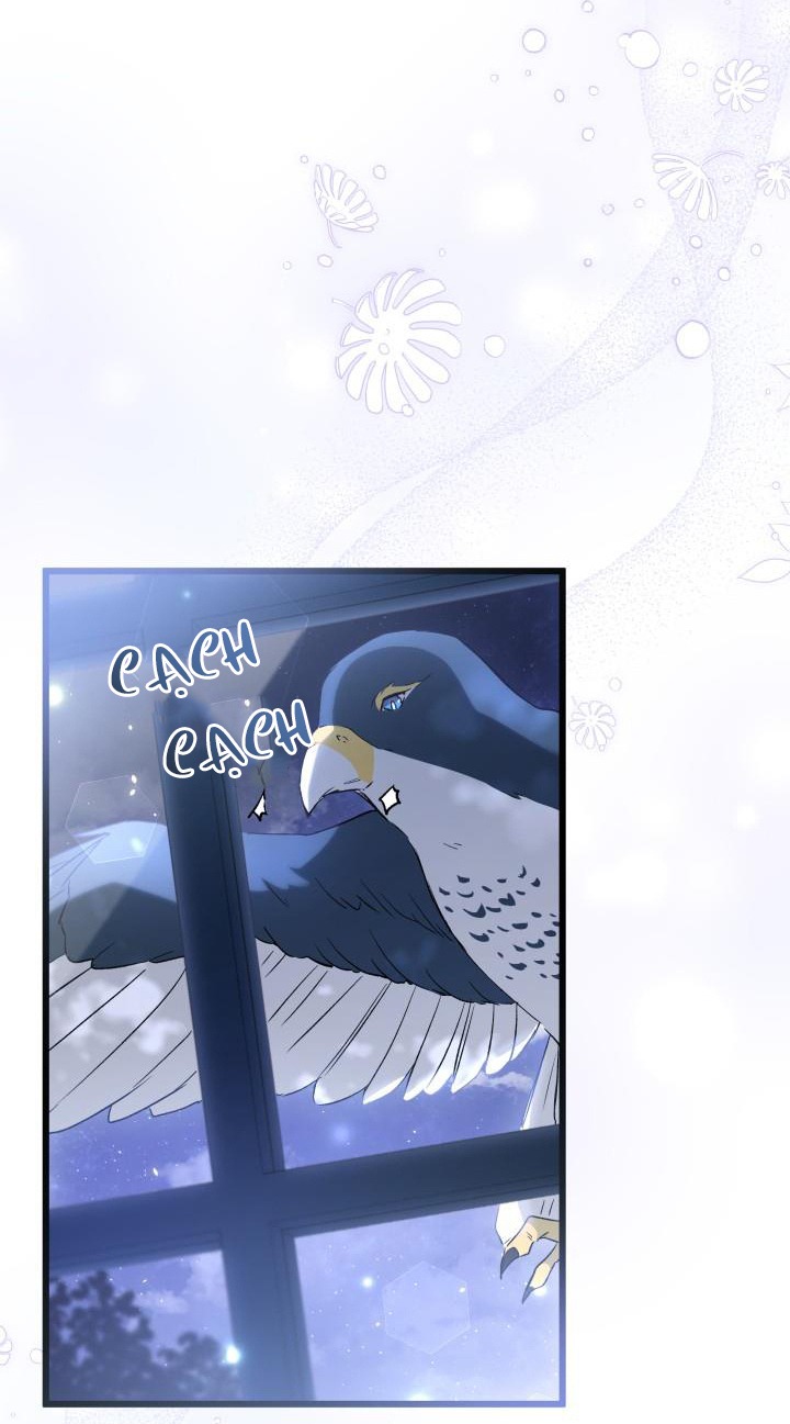 mối liên kết giữa báo đen và bé thỏ chapter 54 8