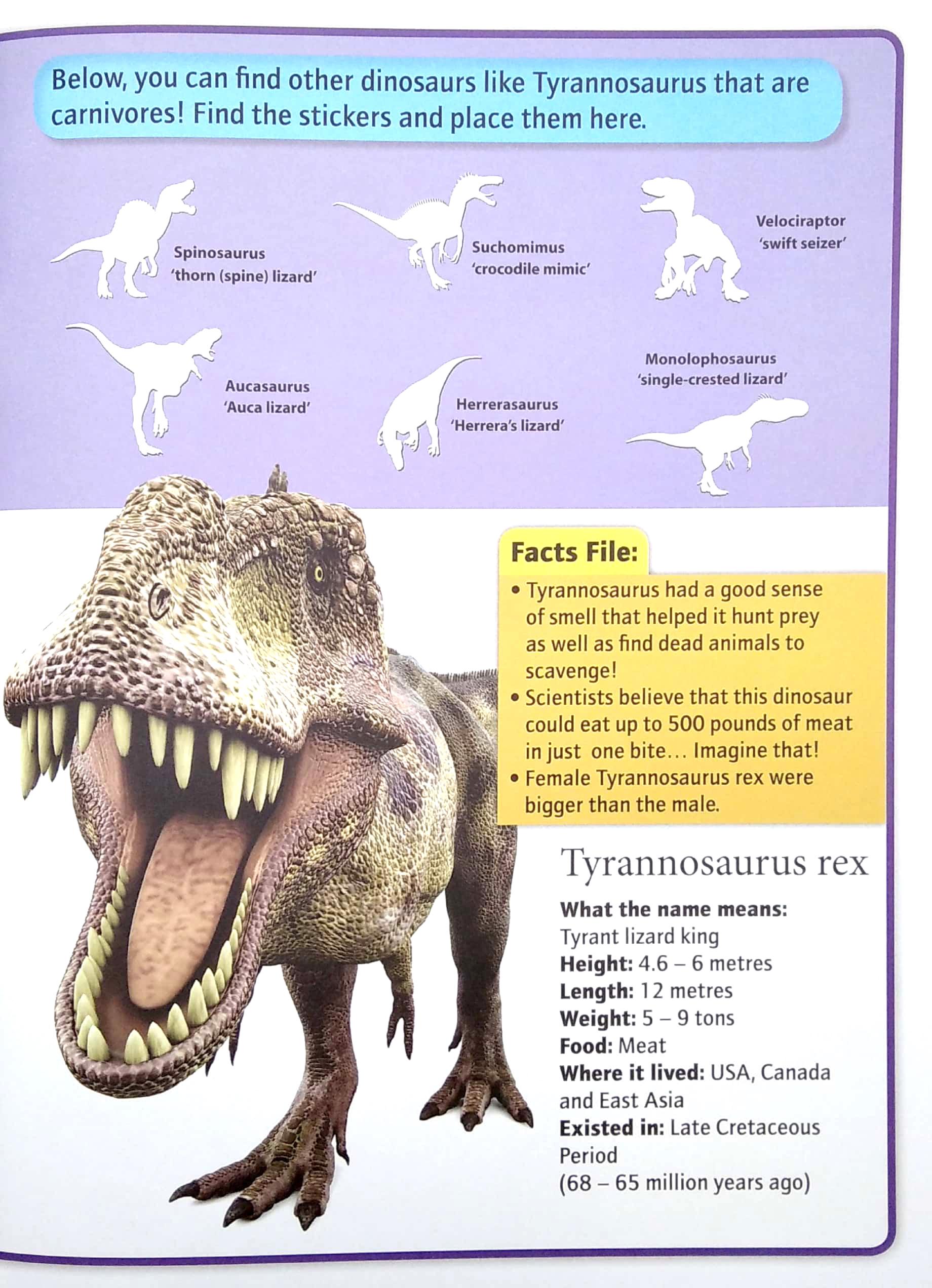 Wonders Of Learning - Sticker Book - Discover Dinosaurs