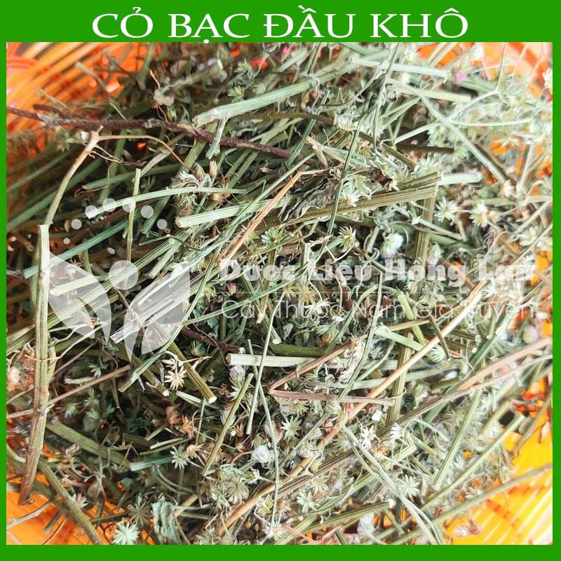 Cây Cỏ Bạc Đầu khô sạch gói 1KG