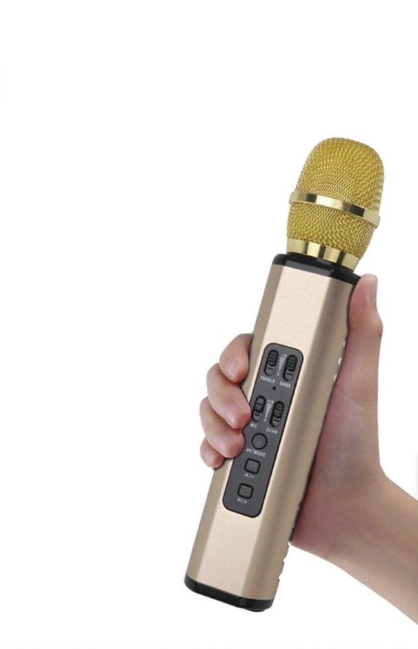 Micro Karaoke không dây, Loa không dây thiết kế hai hòa một - Hàng Chính Hãng PKCB204