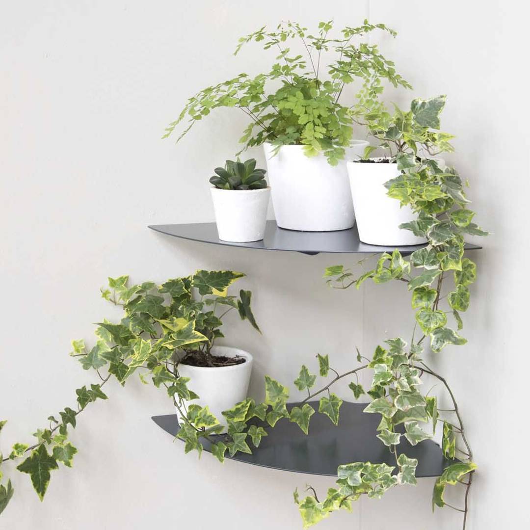 Kệ góc tường nhà tắm 24 (set 2)