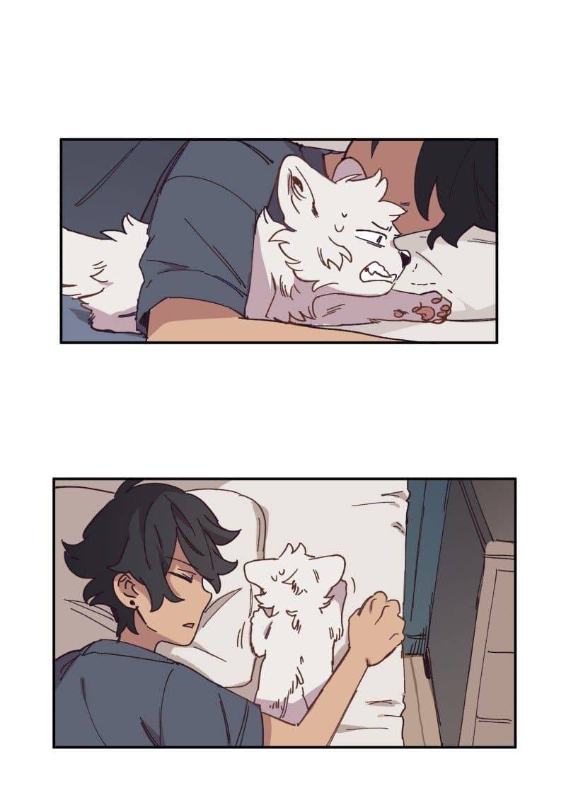 lumine - cội nguồn ánh sáng chapter 84 4