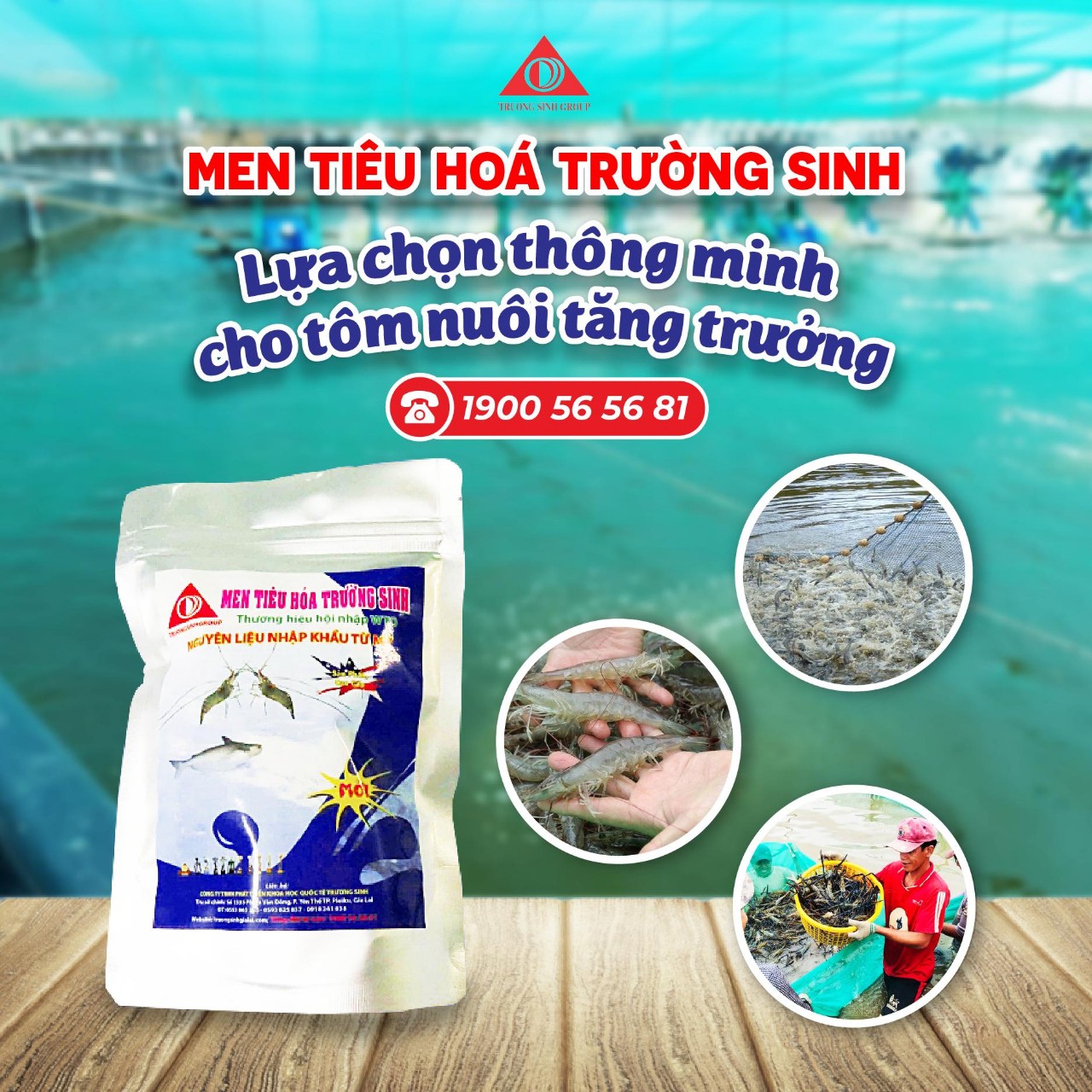 Men tiêu hóa trường sinh - cung cấp vi sinh vật có lợi, tăng cường khả năng tiêu hóa cho tôm cá