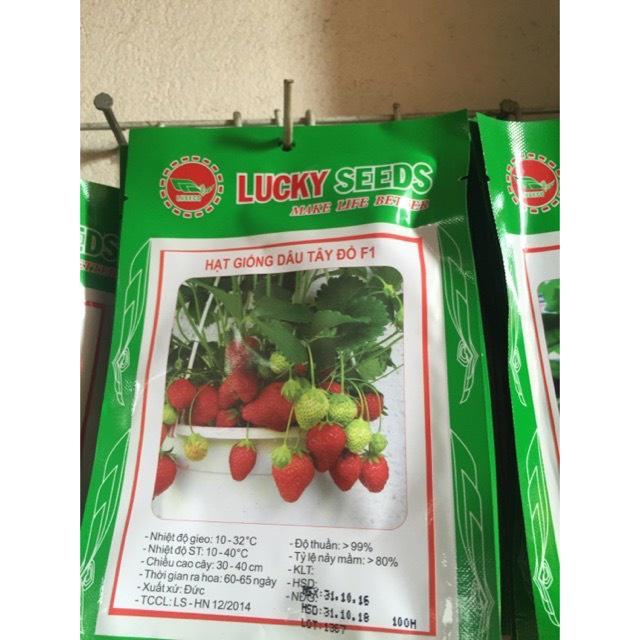 Hạt giống dâu tây đỏ F1 chịu nhiệt - Túi 100 hạt - chất lượng cao, nảy mầm tốt - Hdautaydo100h