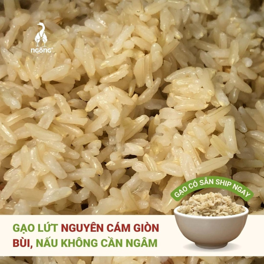 Gạo Ngỗng Sinh Thái ST25 - Gạo Sạch Ruộng Rươi Tôm Gói 700gr