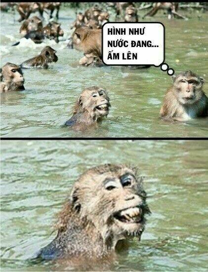 rage comic-troll chapter 79 15