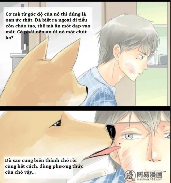 một con chó chapter 6 2