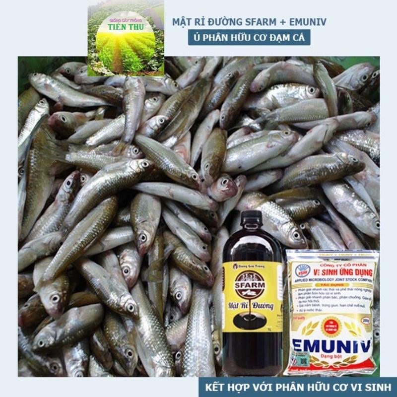 COMBO-CHẾ PHẨM VI SINH EMUNIV VÀ MẬT RỈ ĐƯỜNG Ủ PHÂN VÀ XỬ LÝ RÁC THẢI HỮU CƠ