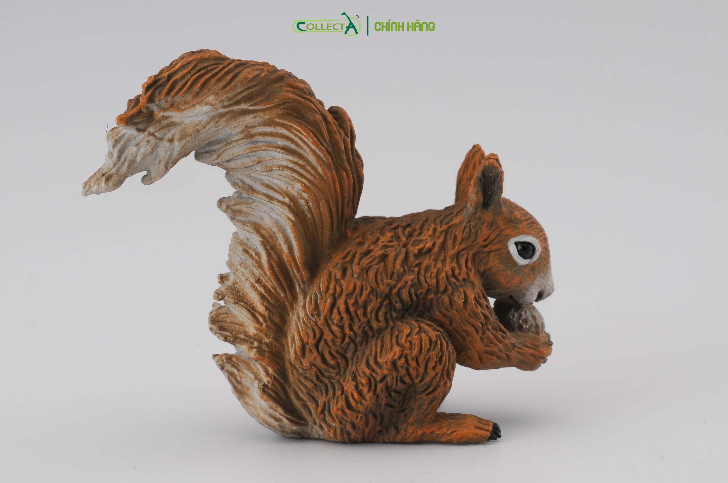 Mô hình thu nhỏ: Sóc - Red Squirrel - Eating, hiệu: CollectA, mã HS 9651330[88467] -  Chất liệu an toàn cho trẻ - Hàng chính hãng