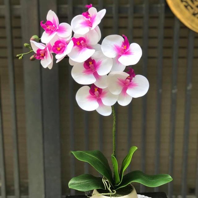 Hoa lan hồ điệp 9 bông cao cấp - Hoa giả cao cấp