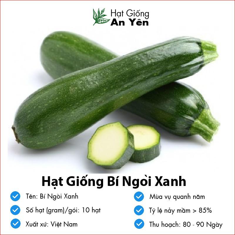 Hạt giống Bí Ngòi Xanh thu hoạch sớm, dễ trồng, nảy mầm cao, sinh trưởng khoẻ