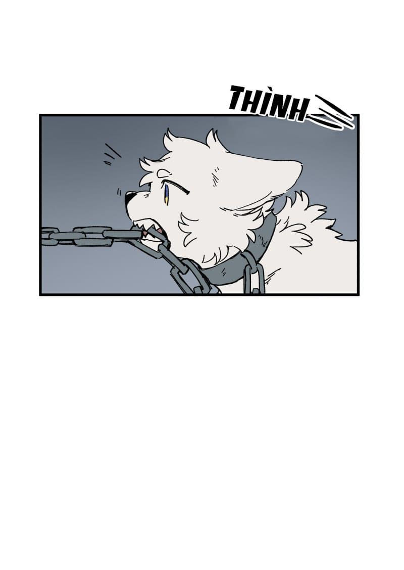 lumine - cội nguồn ánh sáng chapter 139 32