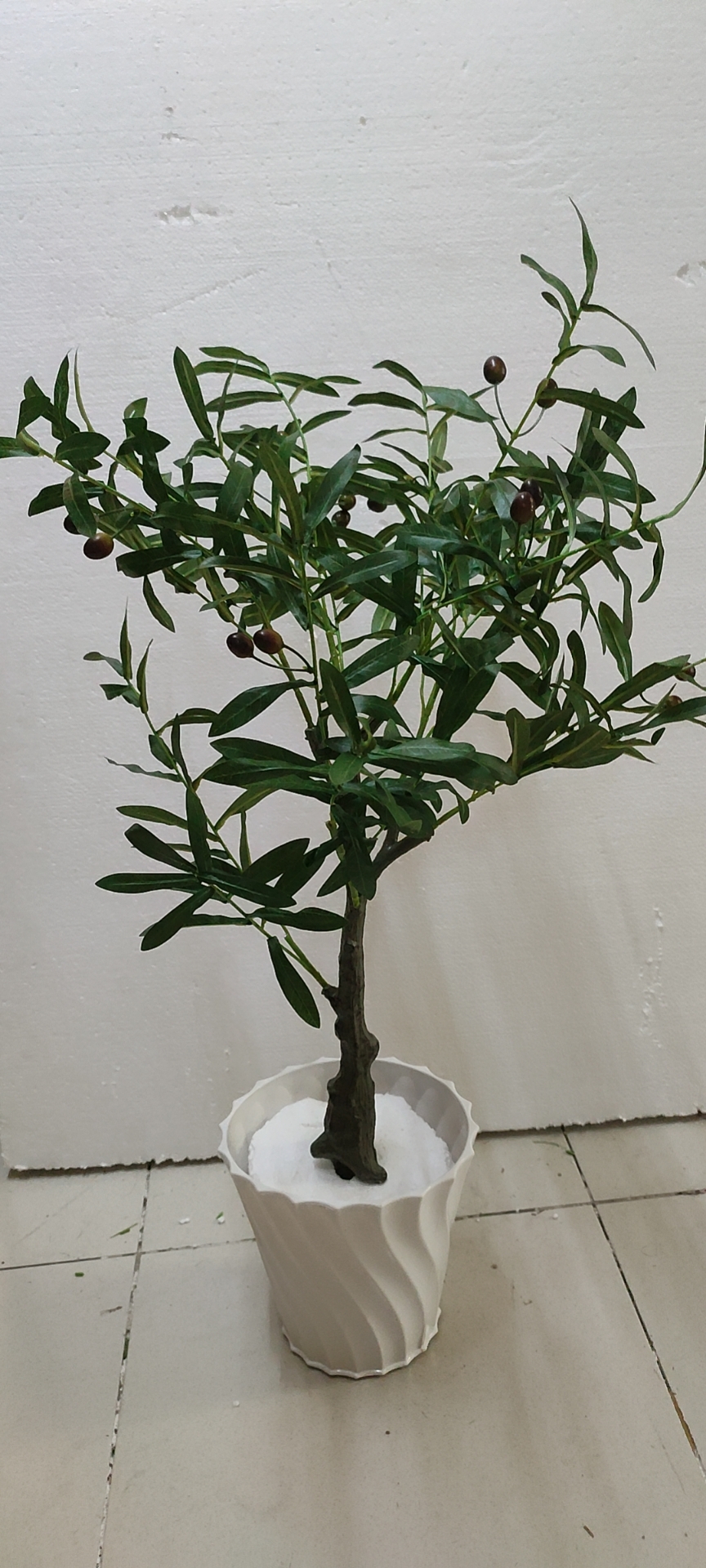 Cây Oliu giả, cây Olive decor trang trí nhà cửa, cao 80cm, 120cm (chưa bao gồm chậu)