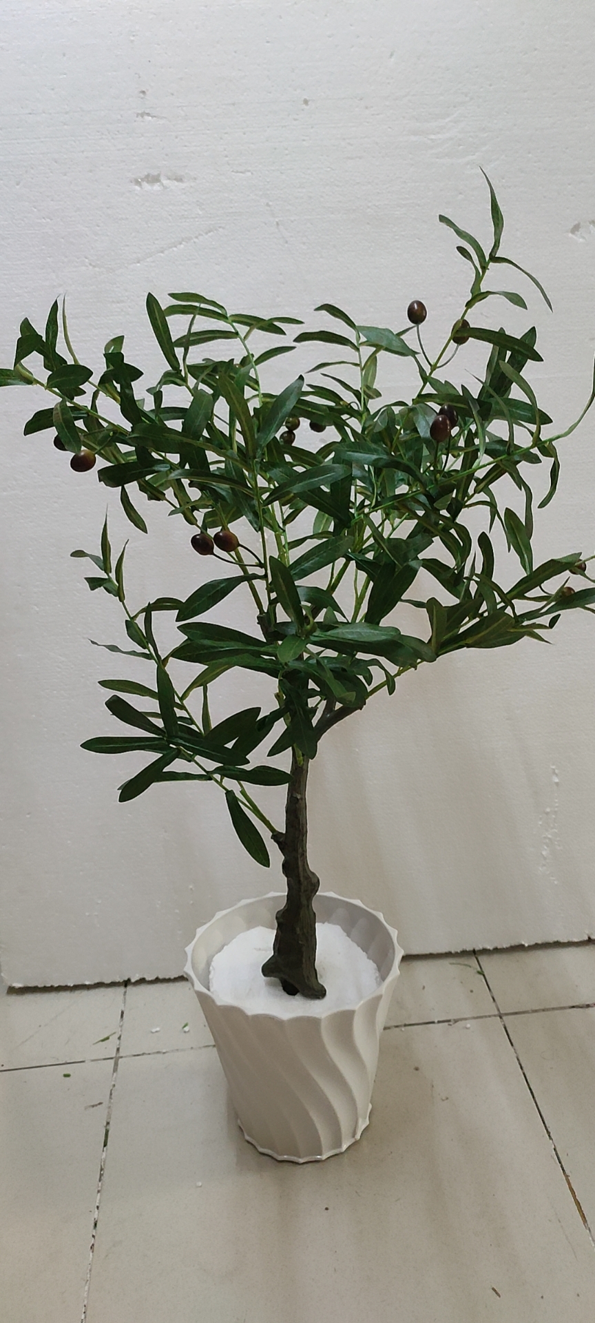 Cây Oliu giả, cây Olive decor trang trí nhà cửa, cao 80cm, 120cm