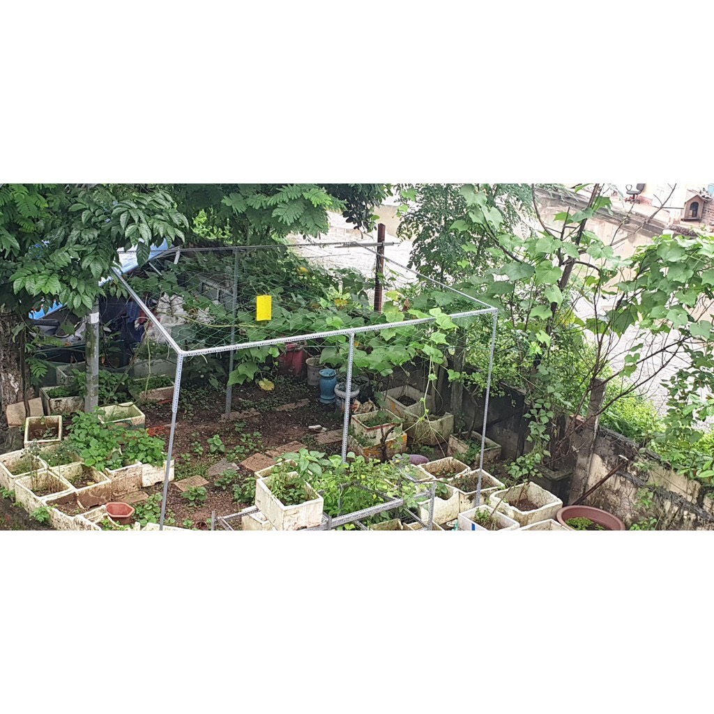 Lưới trồng cây, dây leo giàn cước màu xanh ngọc cao cấp